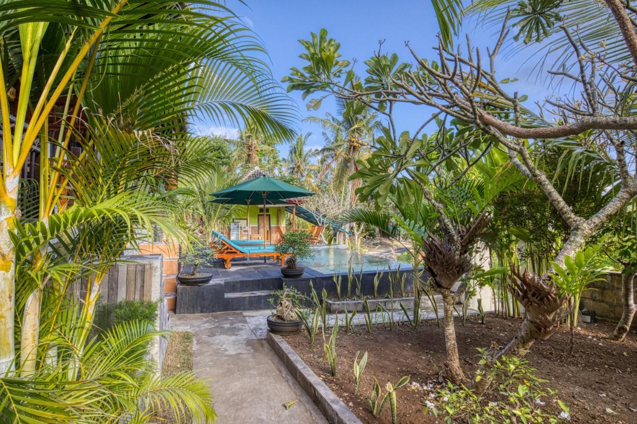 The Mountain Cottage Sakti Exterior photo